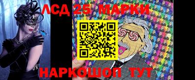 тгк Владимир