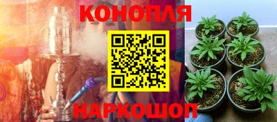 тгк Владимир
