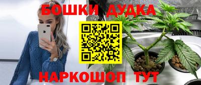 тгк Владимир