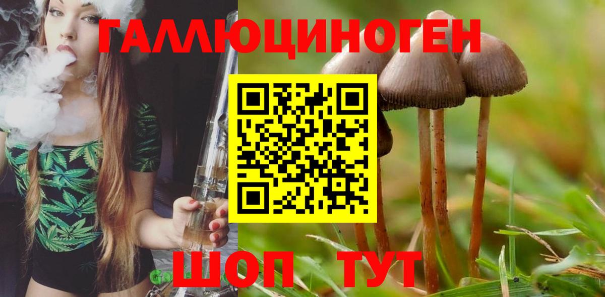 Новошахтинск  Псилоцибиновые грибы ЛСД  Вход с VPN 
