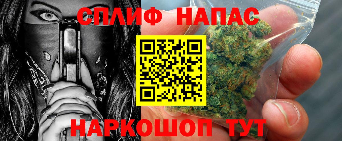 Шишки марихуана семена Новошахтинск
